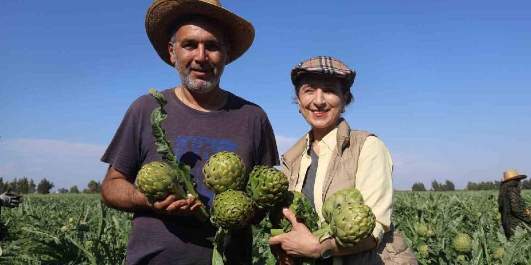 7 yıl ürün almak için çabaladı! 120 dönümde ilk hasat heyecanı yaşıyor 3